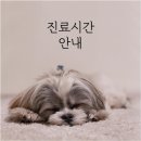 금호동물병원 이미지
