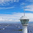 짱족의발전 이미지