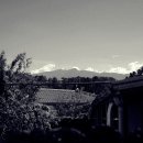 다호마을 이미지