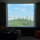 샤인스테이 | 서울 근교 가성비 호캉스 추천, 신라스테이 동탄 후기 (스탠다드 더블룸 파크뷰, 디너, 조식, 주차...