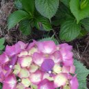 준이농장 이미지