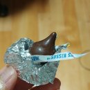 다독(Da Dog) 이미지