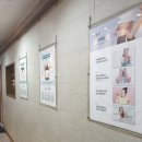 강남 인의한의원에서 지방분해 한약과 침 맞은 후기