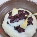 신양 벚꽃길 이미지