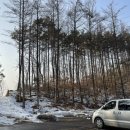 광주숯가마 이미지