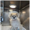 보담동물병원 이미지