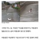 10년 전 세상 떠난 반려견 그리워 '구글 로드뷰' 검색했다가 오열한 주인 이미지