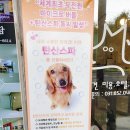 영심이살롱곰곰이호텔 네이버블로그