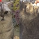 알콩달콩 이미지