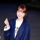 뽀블리 이미지