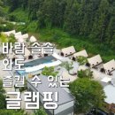 벅스글램핑 이미지