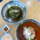 [천안 신방동] 천안 밀면 최고 맛집 &#39;가야밀면 신방점&#39; (물밀면/비빔밀면/들기름밀면 후기)