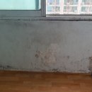 그린서해맨션 | 군산 그린서해맨션 탄성코트 시공, 세라믹코트 진주B타입