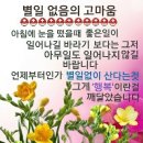 명언들 이미지