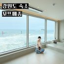 강원도 고성 오션뷰 숙소 추천 꼬뜨메종 502호 내돈내산 솔직후기