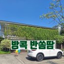 태국 방콕 에까마이 맛집 반쏨땀 방문 후기