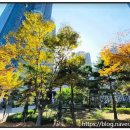 LG메트로 내 도로 이미지