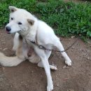 건국농원 이미지