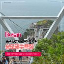 용궁나라 | 부산 송도 가볼만한 곳 추천 송도해수욕장 구름산책로 용궁구름다리 암남공원 산책