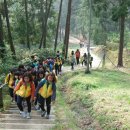 세지초등학교 이미지