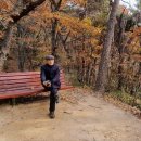 반송공원 이미지