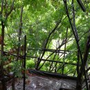 마이아지트 이미지