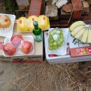 성주이용소 이미지