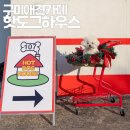 봉곡동349 | 구미 애견 카페 봉곡동 핫도그하우스 신상애카 당장 달려가