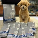 똑똑독 | 강아지 저알러지사료 가수분해사료 추천:) 닥터독 베츠초이스 알러지 눈물 연어사료 급여 후기