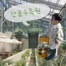 시흥계곡 주차장 | 안산에서 가까운 산골수목원 물놀이 가능한 카페 야외 테라스 주말 후기