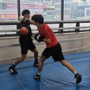 용인대본투더복싱 | 처음으로 시작해본 부산복싱 후기