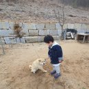 마인펜션 이미지