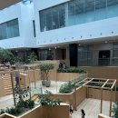 P-5C02 | [펄시커피-과천] 예쁜데 불편한 카페, 너무 사진에 속지 마세요 | 여유보단 기다림주말 방문 후기