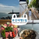 중1동-2 | [부산] 부산여행 2박3일 놀거리 1일차🐟🐠