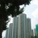 로얄DMC공인중개사사무소 이미지