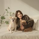대구 애견동반 사진관 퓨어무드스튜디오