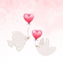 원주시 자원봉사센터 | 신천지 자원봉사단 원주지부, ‘백세만세’ 봉사로 어르신들의 감동 현장 속으로