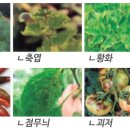 모두싹친환경농자재 이미지