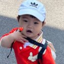 현대모모어린이집 이미지