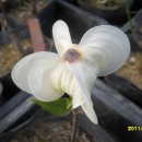 클라우드나인 이미지