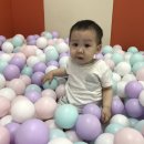 용산-313 이미지