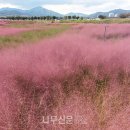 나무와창 이미지