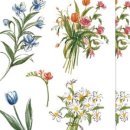 호텔 아리(Ari) 이미지