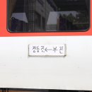 H1681 이미지