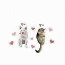 마음속에그린집 | 강릉 또간집 숙소 추천 | 그린브릭 (예쁘고 편안한 감성 숙소) 후기