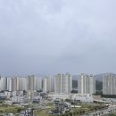 미세방충망 교체 후기 [김해 홈앤그린] 자가세척방충망으로 교체했답니다 !