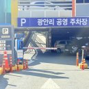 팔딱팔딱도매횟집 | 부산 광안리해수욕장 제철회 생새우구이 맛집, OK도매횟집 광안리점 방문후기 및 주차