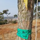 승선농장 이미지