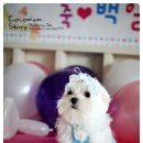 단아