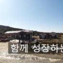 보보세자매김밥 - 제주시 고산로 4 | 보보세자매김밥